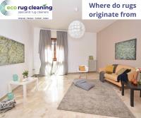 Eco Friendly Carpet Cleaning image 6